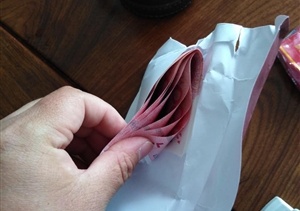 面對(duì)誘惑不動(dòng)搖  立場(chǎng)堅(jiān)定顯品質(zhì) ——宗保金山衛(wèi)五違巡查與金橋市