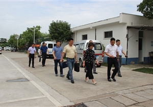 浦東新區(qū)退役軍人事務(wù)局 莊沈芳副局長(zhǎng)來公司考察調(diào)研