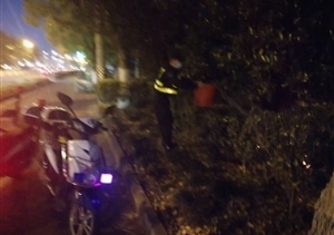 綠化帶失火蔓延  保安施救化險(xiǎn)情 ——宗保公司駐惠南鎮(zhèn)園區(qū)派出所