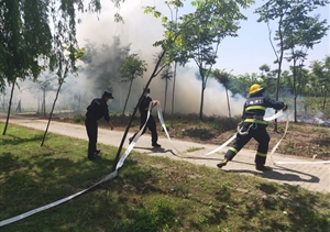 樹林著火現(xiàn)險(xiǎn)情  保安急救受贊揚(yáng) ——宗保公司駐書院市容項(xiàng)目隊(duì)員